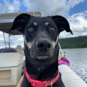 Meet your Posher, Mackenzie